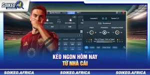 Tổng Hợp Soi Kèo Các Trận Hot Hôm Nay