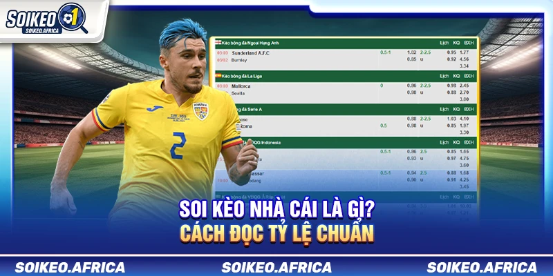 Soi Kèo Nhà Cái Là Gì? Cách Đọc Tỷ Lệ Chuẩn
