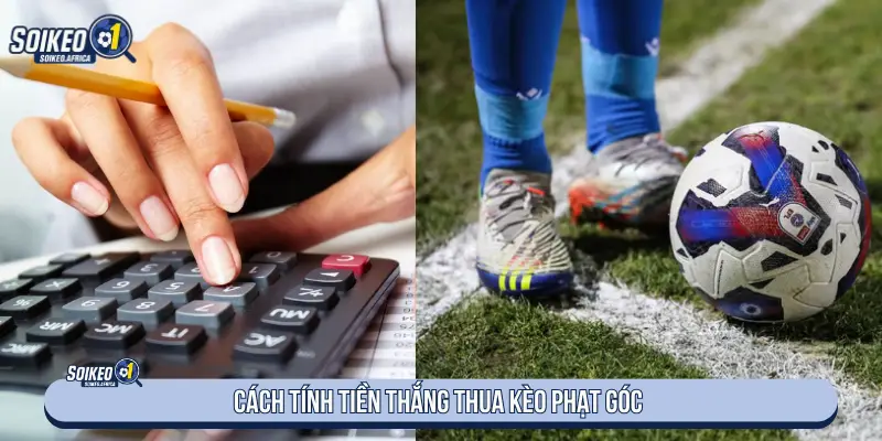 Cách tính tiền thắng thua kèo phạt góc