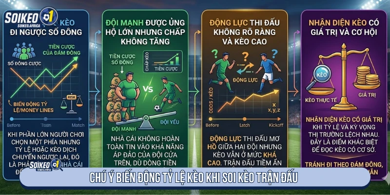Chú ý biến động tỷ lệ kèo khi soi kèo trận đấu