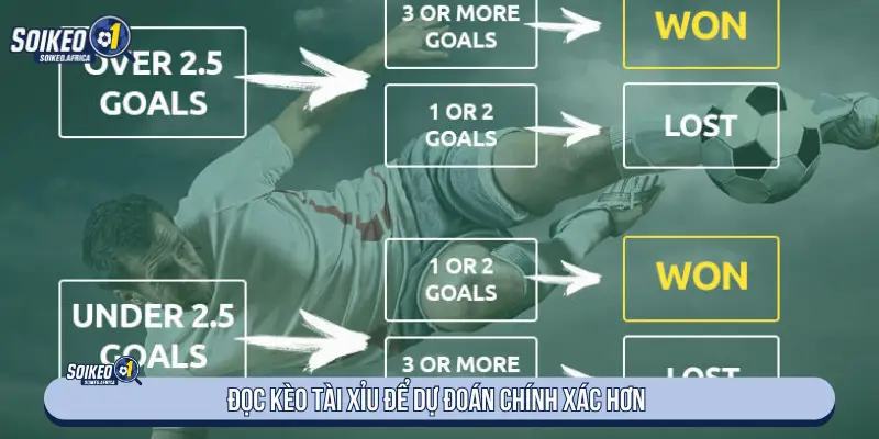 Đọc kèo tài xỉu để dự đoán chính xác hơn