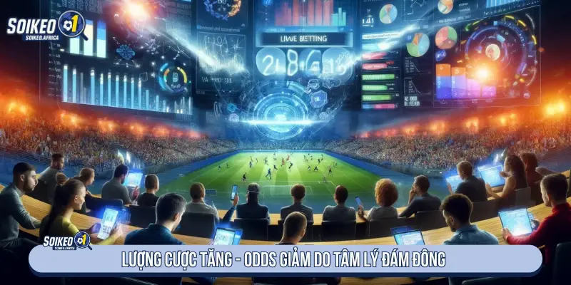 Lượng cược tăng - Odds giảm do tâm lý đám đông