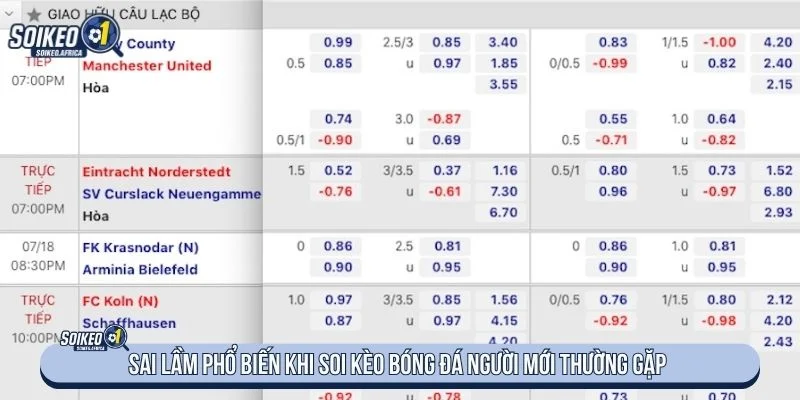 Người mới thường không chú ý đến phân tích trận đấu