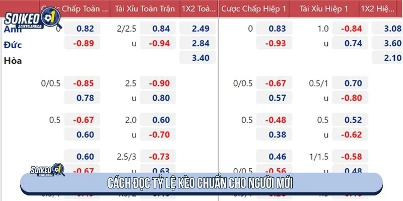 Tham khảo cách đọc tỷ lệ kèo chuẩn khi tìm hiểu soi kèo nhà cái là gì