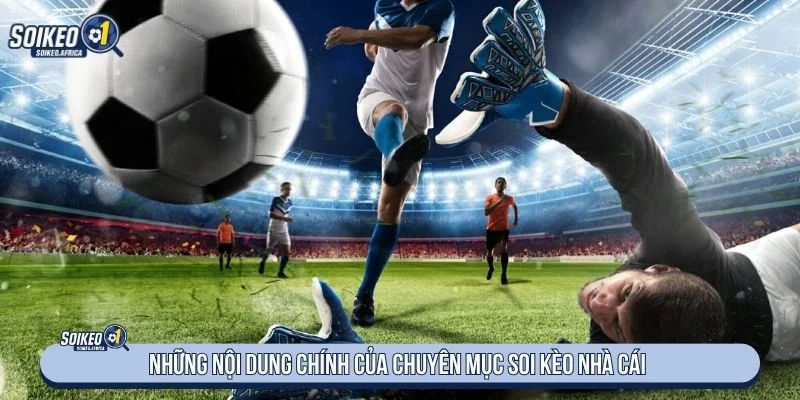 Danh mục cung cấp nhiều nội dung đa dạng